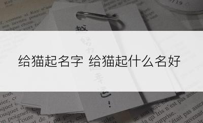 给猫起名字 给猫起什么名好