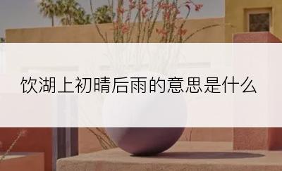 饮湖上初晴后雨的意思是什么