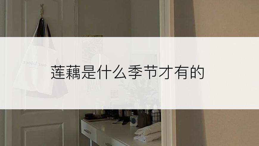 莲藕是什么季节才有的