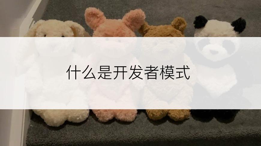 什么是开发者模式