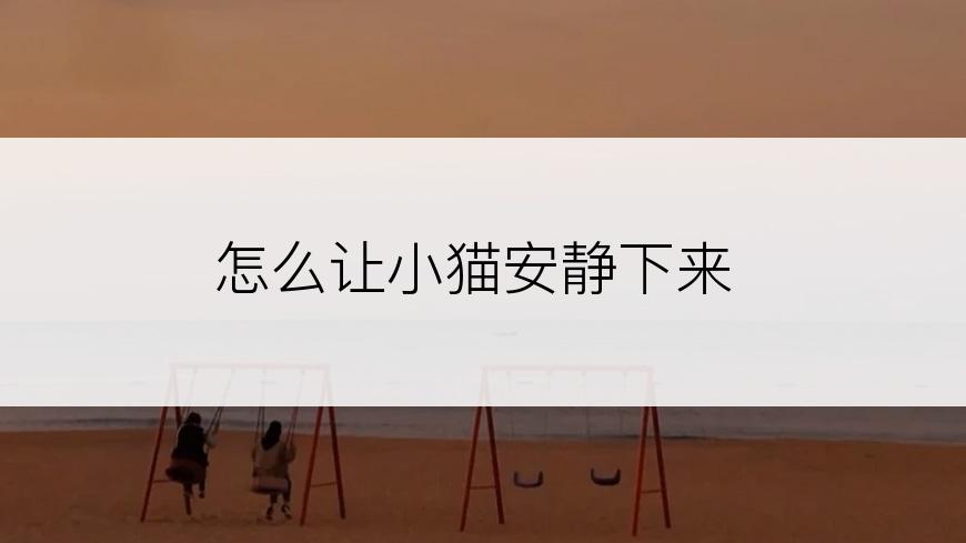 怎么让小猫安静下来