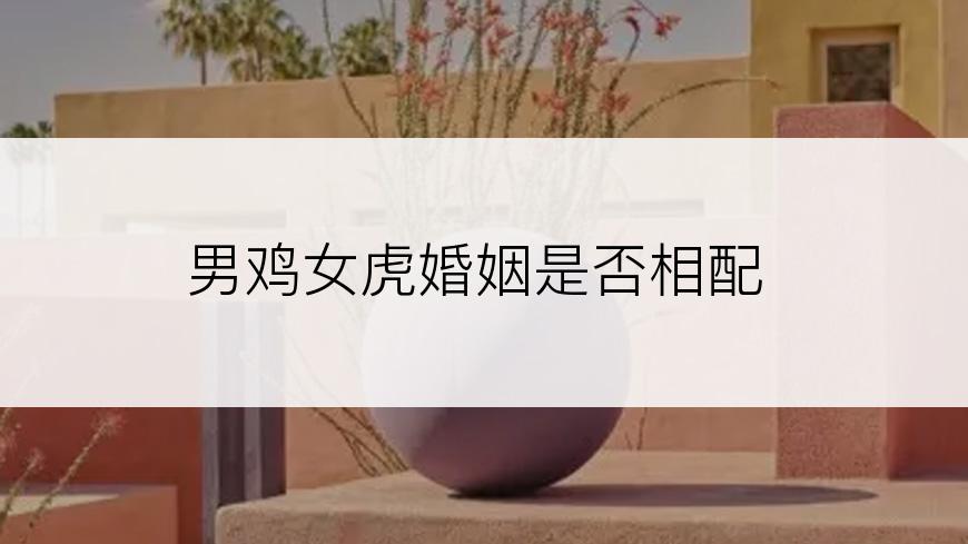 男鸡女虎婚姻是否相配