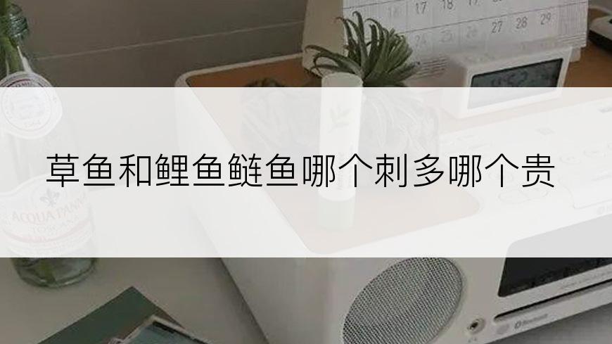 草鱼和鲤鱼鲢鱼哪个刺多哪个贵