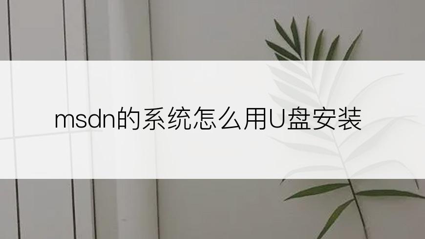 msdn的系统怎么用U盘安装