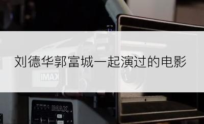刘德华郭富城一起演过的电影