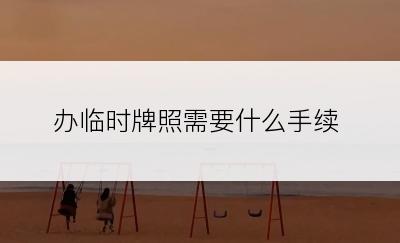 办临时牌照需要什么手续