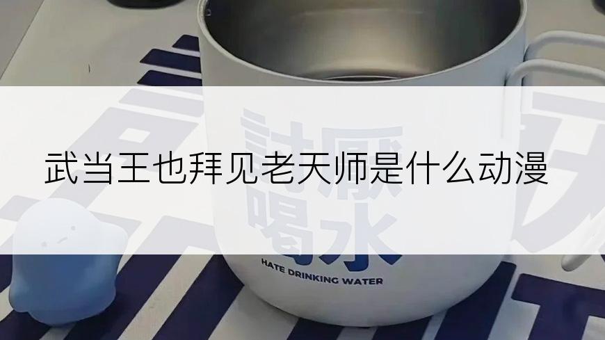武当王也拜见老天师是什么动漫