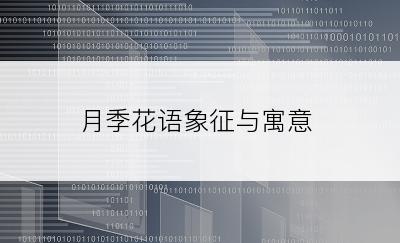 月季花语象征与寓意