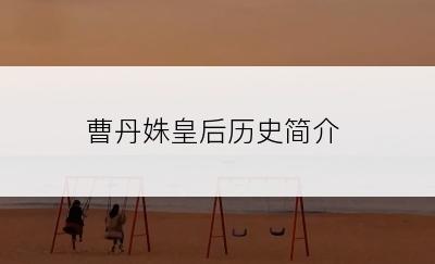 曹丹姝皇后历史简介