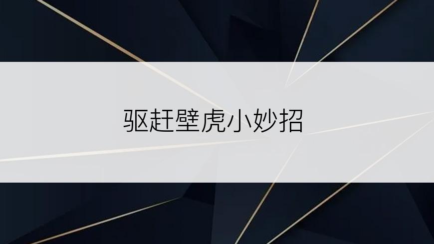 驱赶壁虎小妙招
