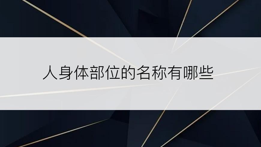 人身体部位的名称有哪些