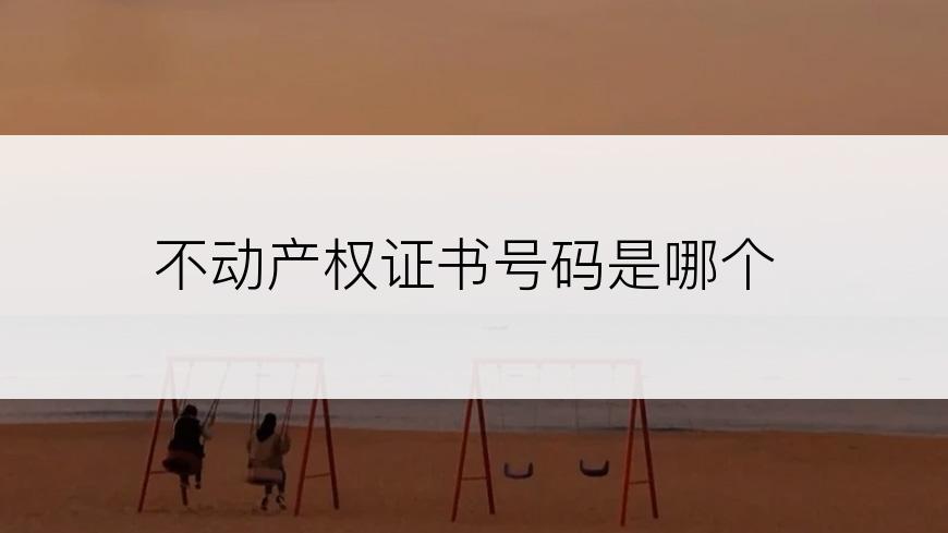 不动产权证书号码是哪个