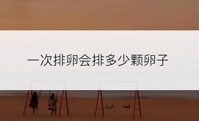 一次排卵会排多少颗卵子