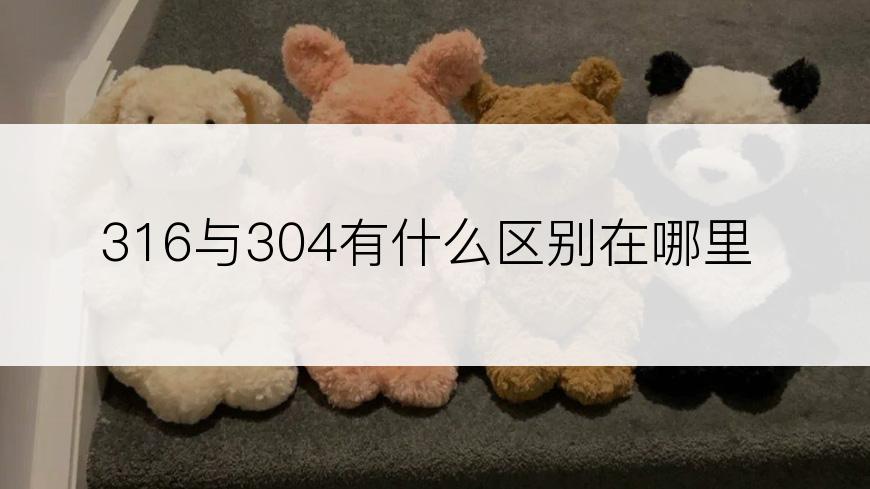 316与304有什么区别在哪里