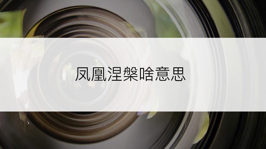 凤凰涅槃啥意思