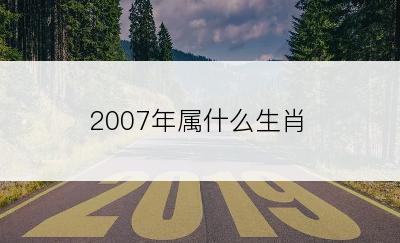 2007年属什么生肖