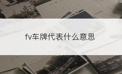 fv车牌代表什么意思