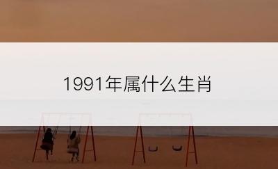 1991年属什么生肖