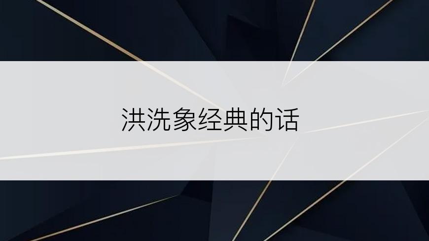 洪洗象经典的话
