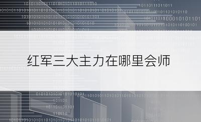 红军三大主力在哪里会师