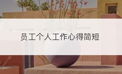 员工个人工作心得简短