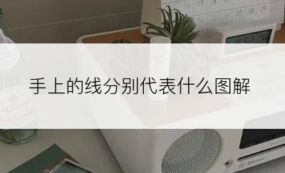 手上的线分别代表什么图解
