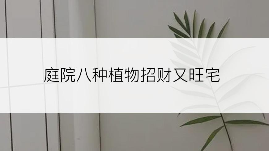 庭院八种植物招财又旺宅