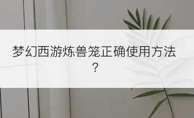 梦幻西游炼兽笼正确使用方法？