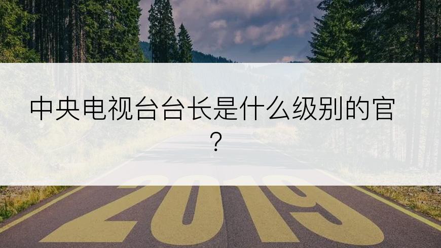 中央电视台台长是什么级别的官？
