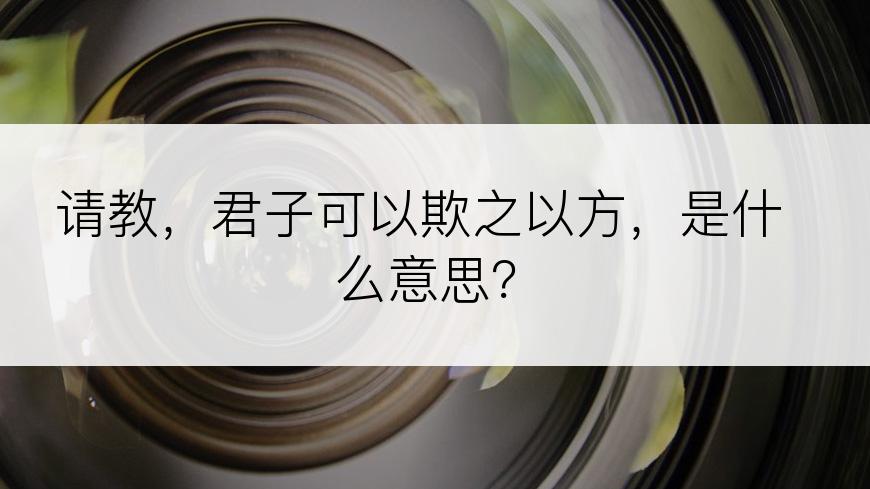 请教，君子可以欺之以方，是什么意思？