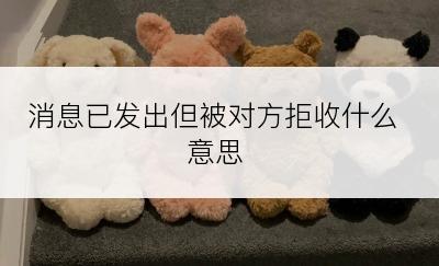 消息已发出但被对方拒收什么意思