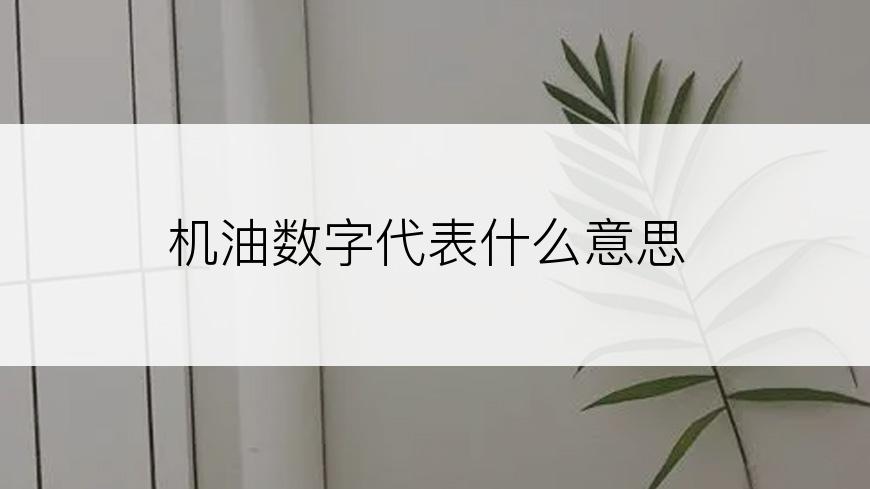 机油数字代表什么意思