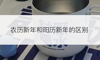 农历新年和阳历新年的区别