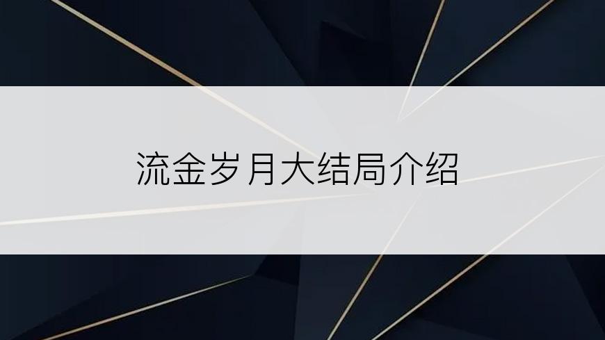 流金岁月大结局介绍