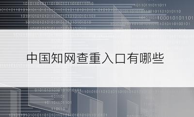 中国知网查重入口有哪些