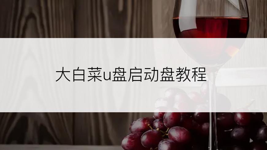 大白菜u盘启动盘教程