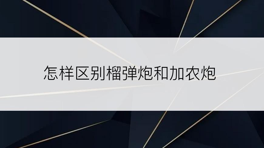 怎样区别榴弹炮和加农炮
