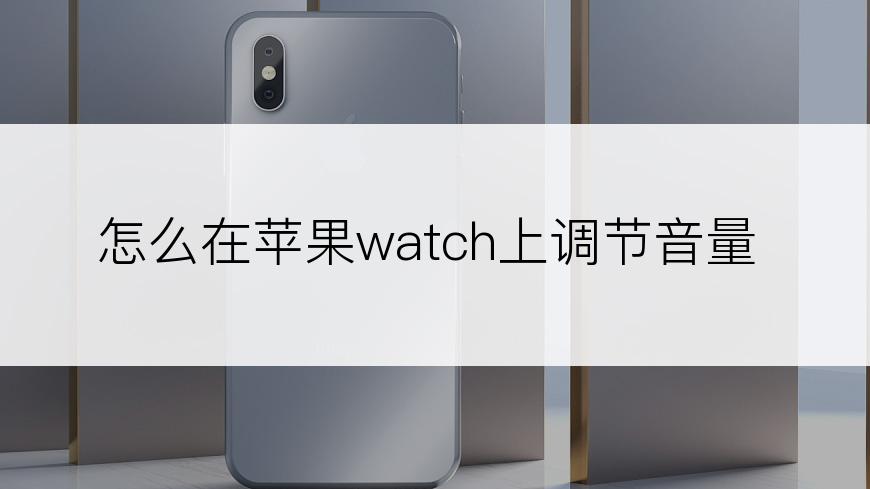 怎么在苹果watch上调节音量