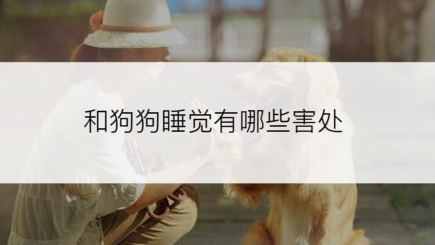 和狗狗睡觉有哪些害处