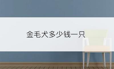金毛犬多少钱一只