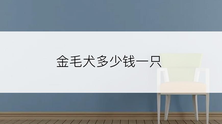 金毛犬多少钱一只