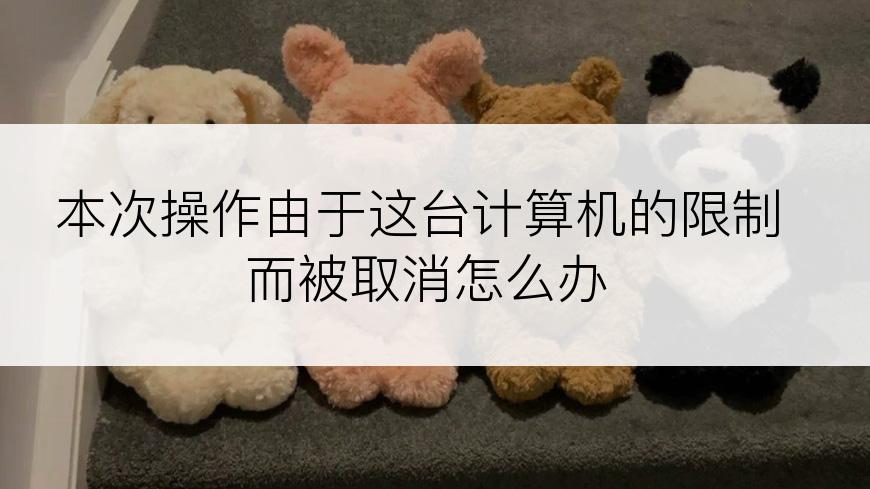 本次操作由于这台计算机的限制而被取消怎么办