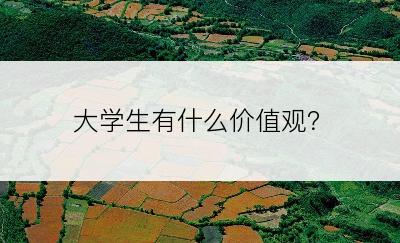 大学生有什么价值观？
