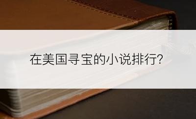 在美国寻宝的小说排行？