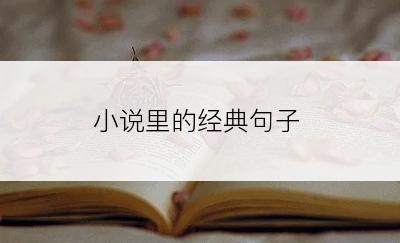 小说里的经典句子