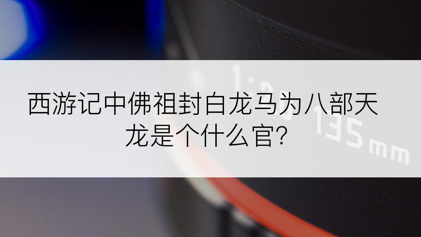 西游记中佛祖封白龙马为八部天龙是个什么官？