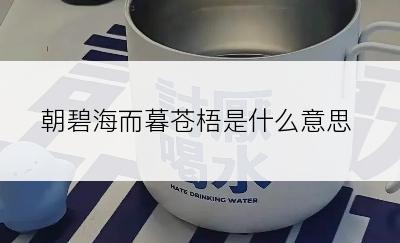 朝碧海而暮苍梧是什么意思