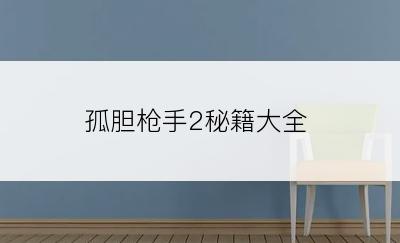 孤胆枪手2秘籍大全