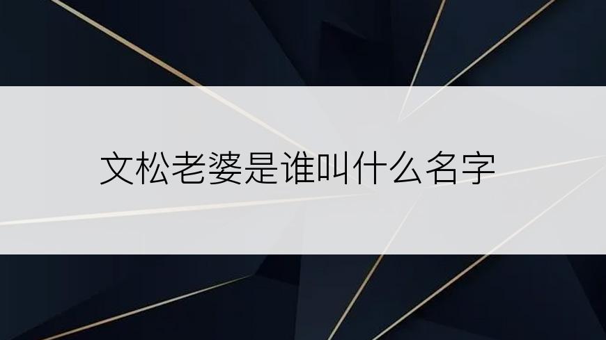 文松老婆是谁叫什么名字