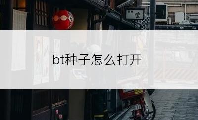 bt种子怎么打开
